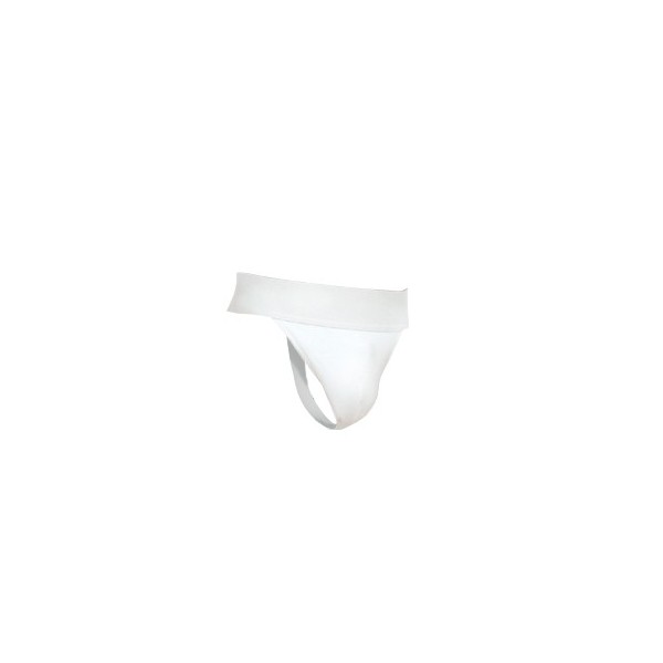 Suspenzor
